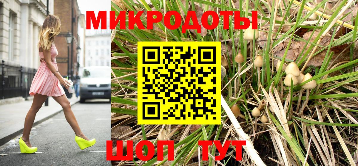 Псилоцибиновые грибы Cubensis  Вход с VPN  Петропавловск-Камчатский 